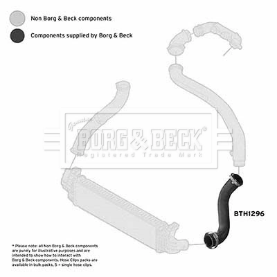 BORG & BECK Töltőlevegő cső - BTH1296 - TothCarparts