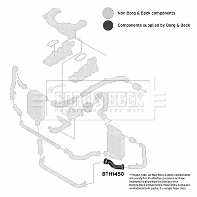 BORG & BECK Töltőlevegő cső - BTH1450 - TothCarparts