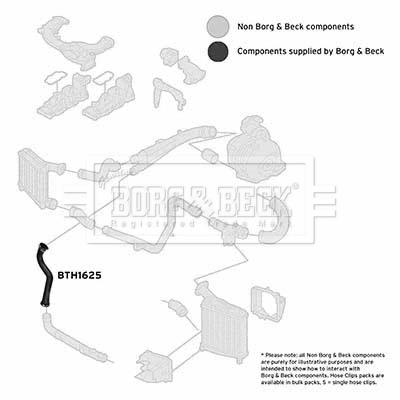 BORG & BECK Töltőlevegő cső - BTH1625 - TothCarparts