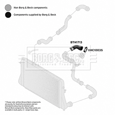 BORG & BECK Töltőlevegő cső - BTH1713 - TothCarparts