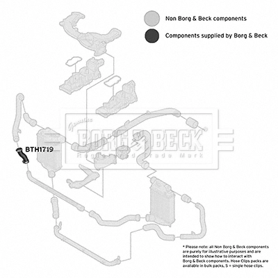 BORG & BECK Töltőlevegő cső - BTH1719 - TothCarparts