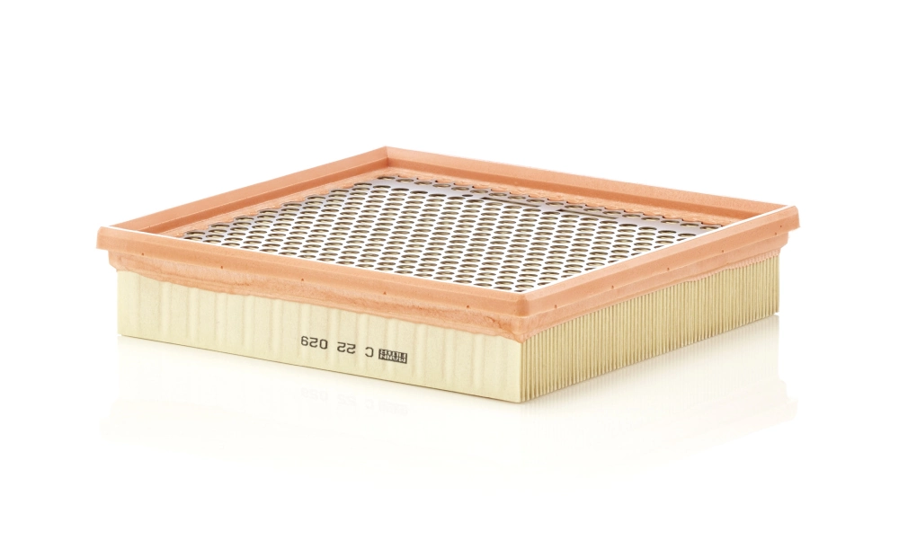 MANN-FILTER légszűrő - C 22 029 - TothCarparts