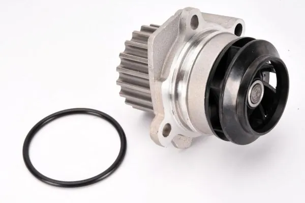 THERMOTEC Vízszivattyú, motorhűtés - D1W049TT - TothCarparts