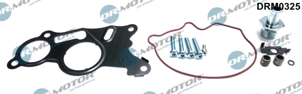 Dr.Motor Automotive Javítókészlet, vákuumszivattyú (fékrendszer) - DRM0325 - TothCarparts