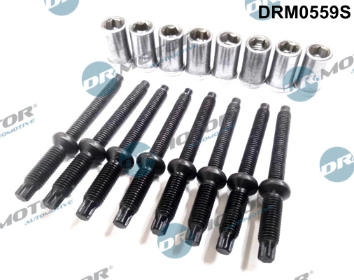 Dr.Motor Automotive Csavar, befecskendező fúvóka tartó - DRM0559S - TothCarparts