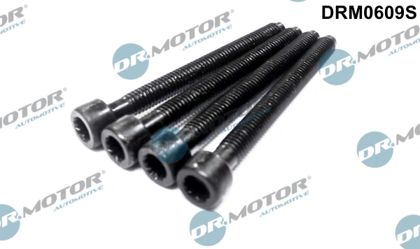 Dr.Motor Automotive Beszabályzó csavar, befecskendező szivattyú - DRM0609S - TothCarparts