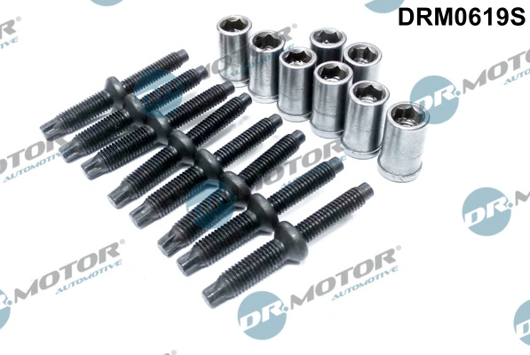 Dr.Motor Automotive Csavar, befecskendező fúvóka tartó - DRM0619S - TothCarparts