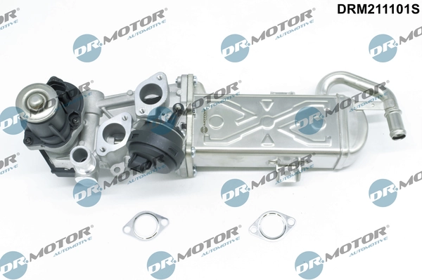 Dr.Motor Automotive AGR-szelep - DRM211101S - TothCarparts
