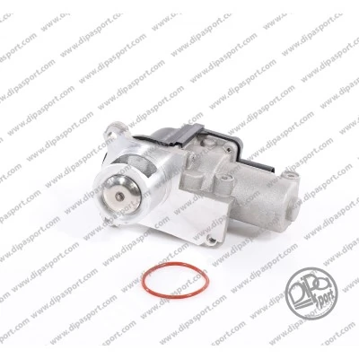 DIPASPORT AGR-szelep - EGR022N - TothCarparts