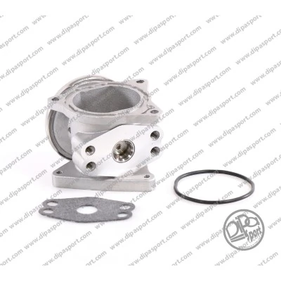 DIPASPORT AGR-szelep - EGR024WHLN - TothCarparts