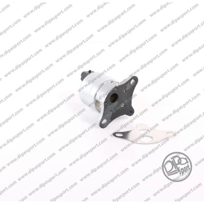 DIPASPORT AGR-szelep - EGR058N - TothCarparts