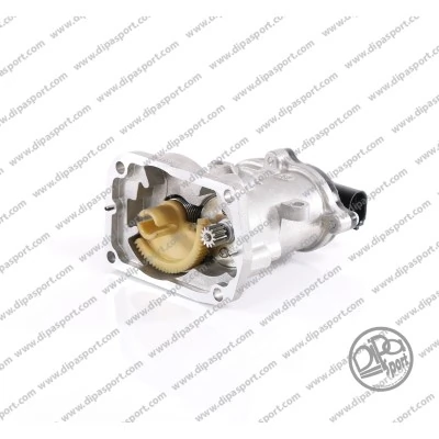 DIPASPORT AGR-szelep - EGR117R - TothCarparts