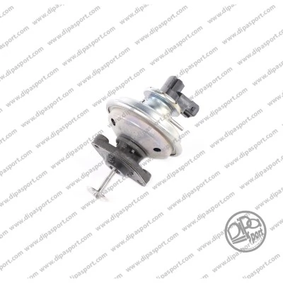 DIPASPORT AGR-szelep - EGR187R - TothCarparts
