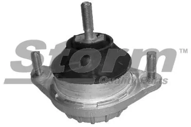 STORM QUALITY PARTS felfüggesztés, motor - F2561 - TothCarparts