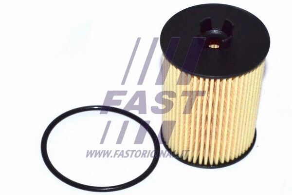 FAST olajszűrő - FT38066 - TothCarparts