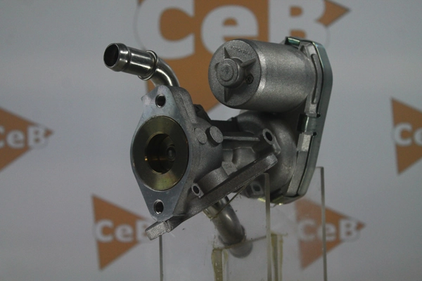 DA SILVA AGR-szelep - GR6068 - TothCarparts