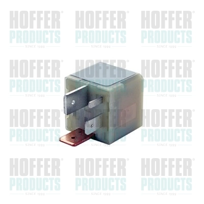 HOFFER vezérlő, izzítás - H7285679 - TothCarparts