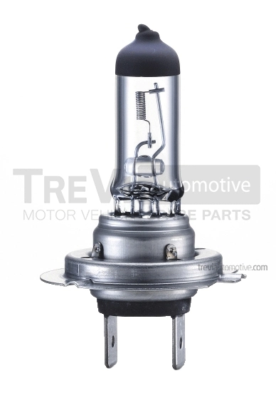 TREVI AUTOMOTIVE izzó, főfényszóró - TRH604 - TothCarparts