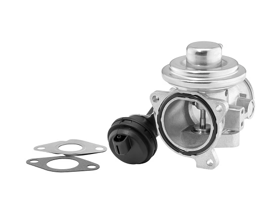 BorgWarner AGR-szelep - 7241D - TothCarparts