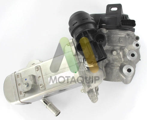 MOTAQUIP AGR-szelep - LVER365 - TothCarparts