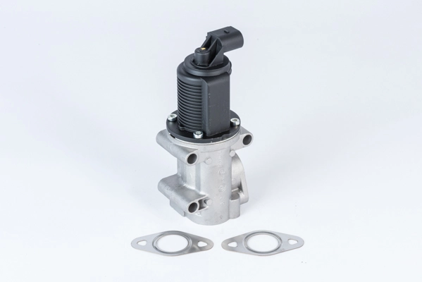BorgWarner AGR-szelep - 710952R - TothCarparts