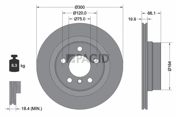 PAGID féktárcsa - 55572NC - TothCarparts