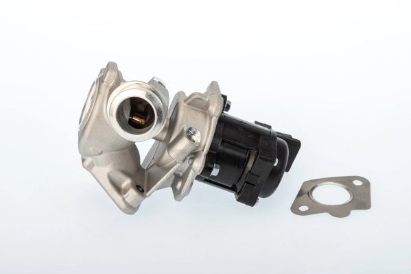 BorgWarner AGR-szelep - 711020D - TothCarparts