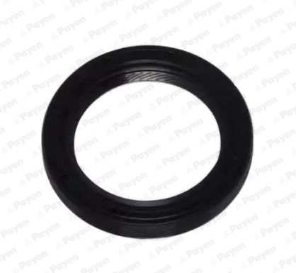 PAYEN tömítőgyűrű, főtengely - NA5306 - TothCarparts