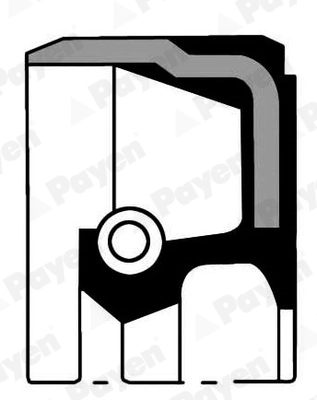 PAYEN tömítőgyűrű, vezérműtengely - NC006 - TothCarparts
