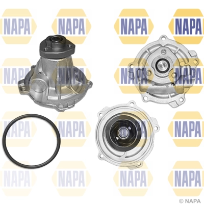 NAPA Vízszivattyú, motorhűtés - NWP1019 - TothCarparts