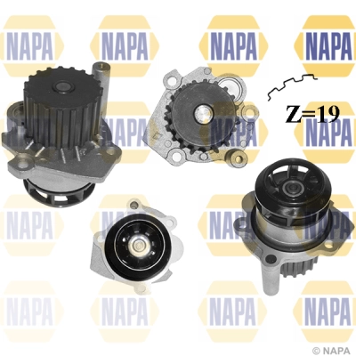 NAPA Vízszivattyú, motorhűtés - NWP1061 - TothCarparts
