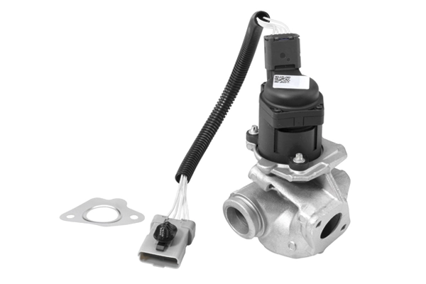 BorgWarner AGR-szelep - 710936R - TothCarparts