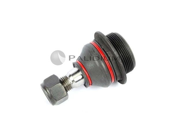 ASHUKI by Palidium Támasztó-/vezetőcsukló - PAL5-4013 - TothCarparts