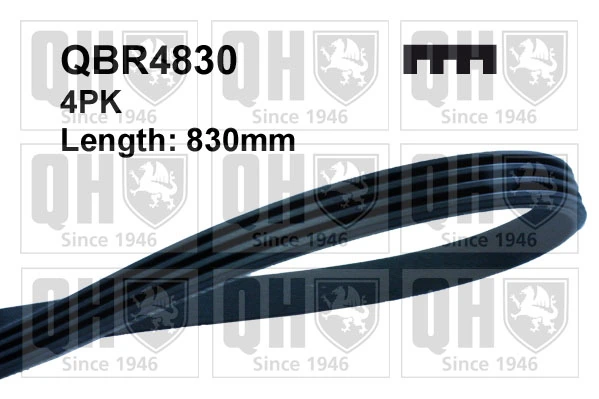 QUINTON HAZELL hosszbordás szíj - QBR4830 - TothCarparts