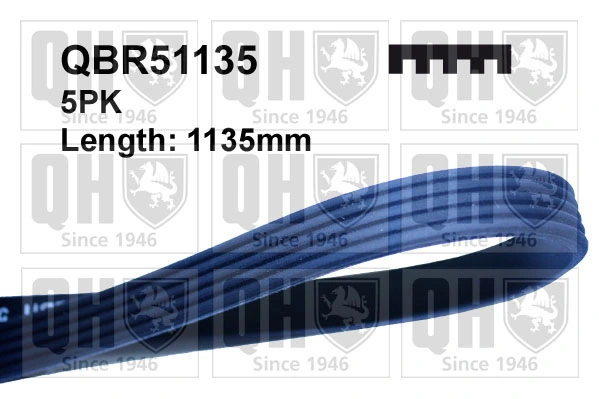 QUINTON HAZELL hosszbordás szíj - QBR51135 - TothCarparts