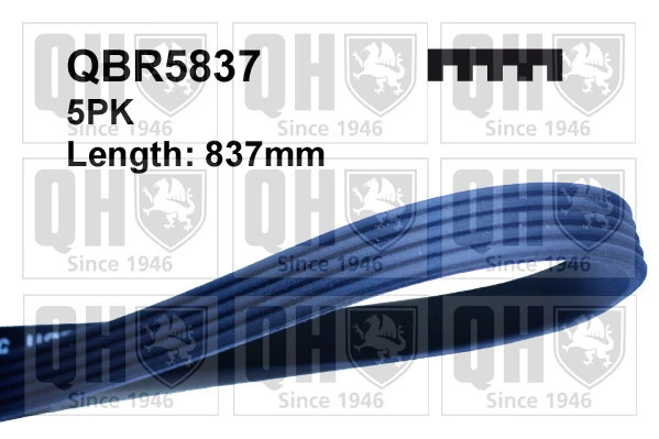 QUINTON HAZELL hosszbordás szíj - QBR5837 - TothCarparts
