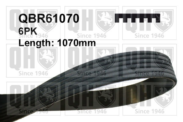 QUINTON HAZELL hosszbordás szíj - QBR61070 - TothCarparts