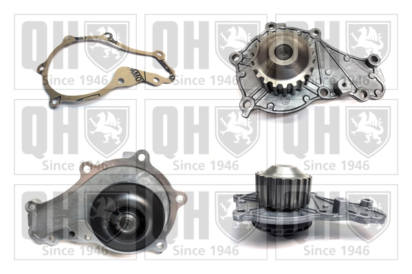 QUINTON HAZELL Vízszivattyú, motorhűtés - QCP3521 - TothCarparts