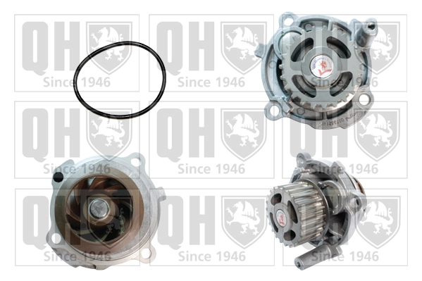QUINTON HAZELL Vízszivattyú, motorhűtés - QCP3592 - TothCarparts