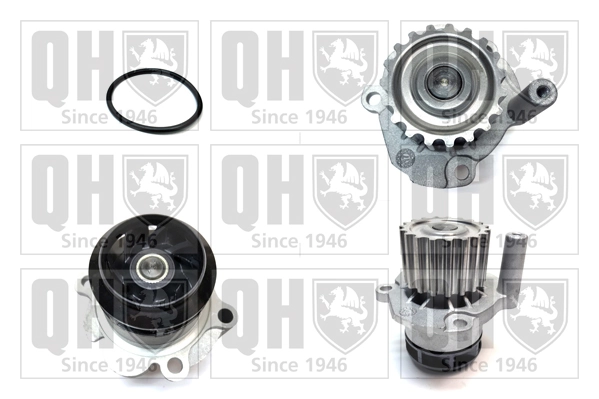 QUINTON HAZELL Vízszivattyú, motorhűtés - QCP3621 - TothCarparts