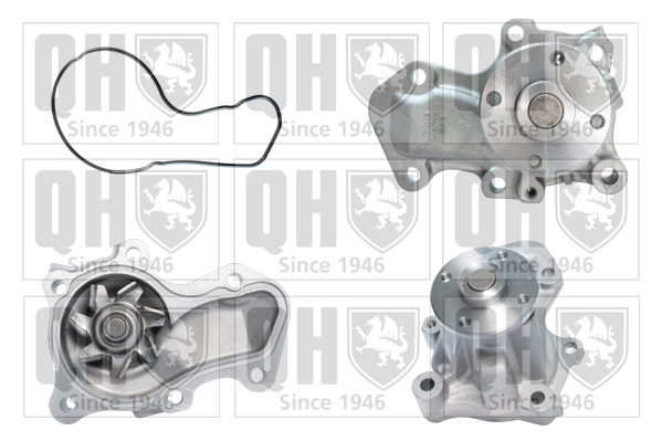 QUINTON HAZELL Vízszivattyú, motorhűtés - QCP3644 - TothCarparts