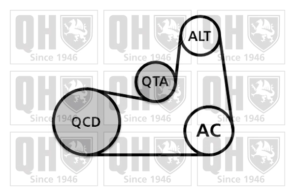 QUINTON HAZELL hosszbordás szíj készlet - QDK132 - TothCarparts