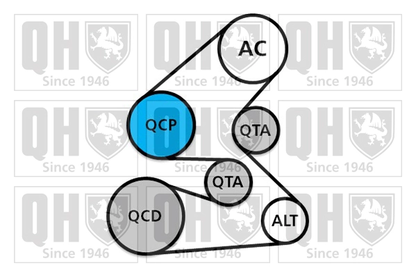 QUINTON HAZELL hosszbordás szíj készlet - QDK145 - TothCarparts