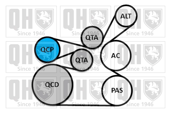 QUINTON HAZELL hosszbordás szíj készlet - QDK149 - TothCarparts