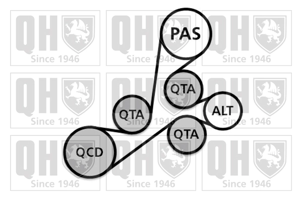 QUINTON HAZELL hosszbordás szíj készlet - QDK54 - TothCarparts