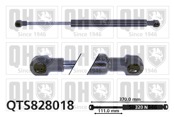 QUINTON HAZELL gázrugó, csomag-/poggyásztér - QTS828018 - TothCarparts