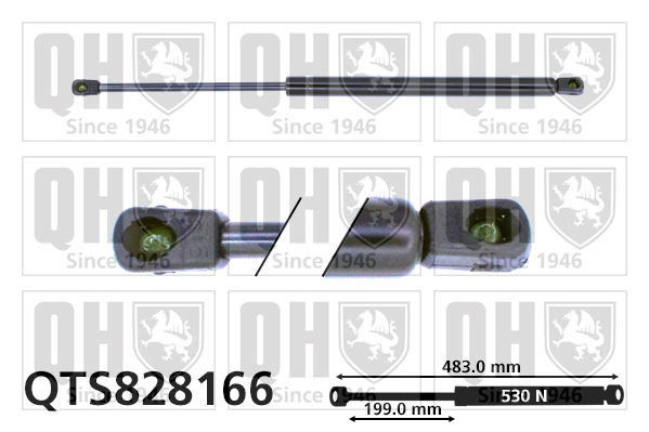 QUINTON HAZELL gázrugó, csomag-/poggyásztér - QTS828166 - TothCarparts