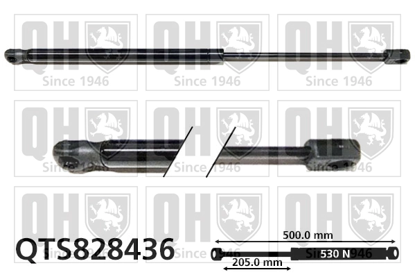 QUINTON HAZELL gázrugó, csomag-/poggyásztér - QTS828436 - TothCarparts