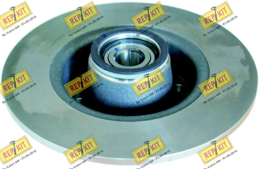 REPKIT féktárcsa - RKB2099D - TothCarparts