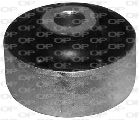 OPEN PARTS csapágyazás, kormány - SSS1002.11 - TothCarparts